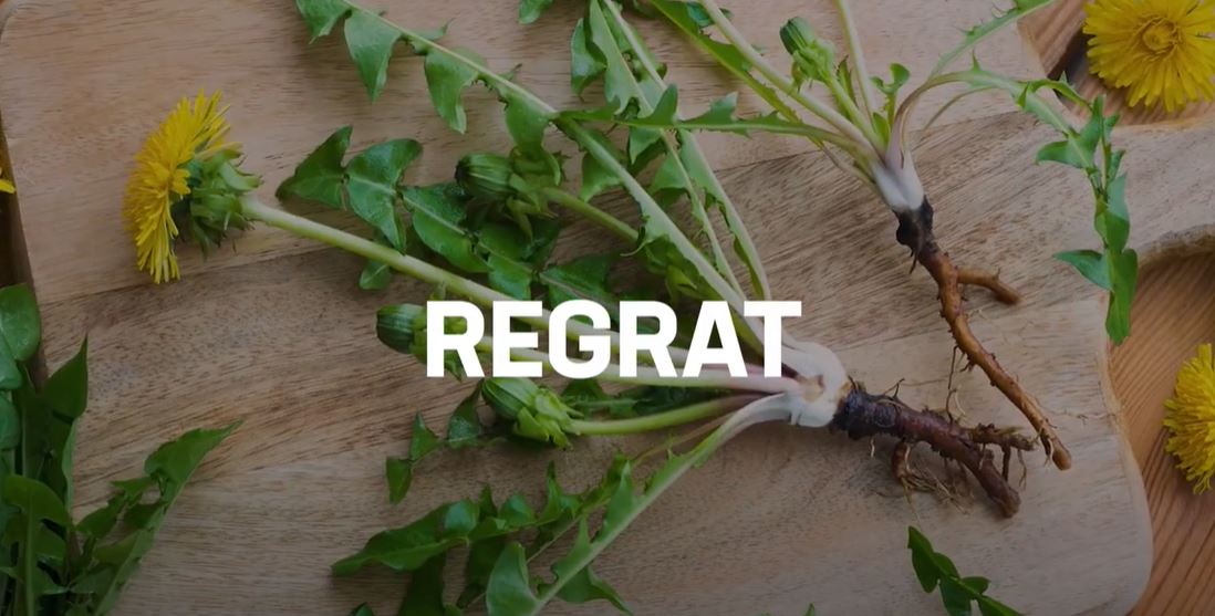 performance beets